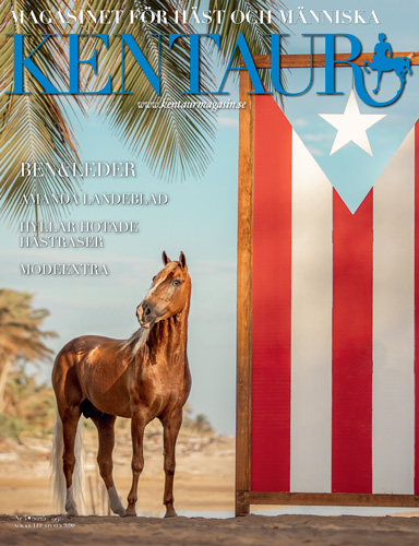 KE2503_Cover_500
